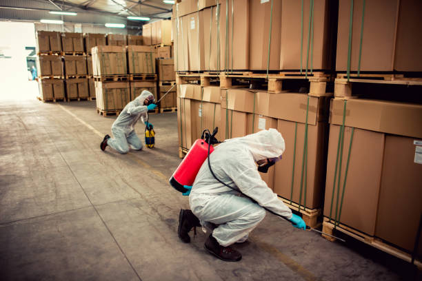 Best Mosquito Control Services  in Headland, AL