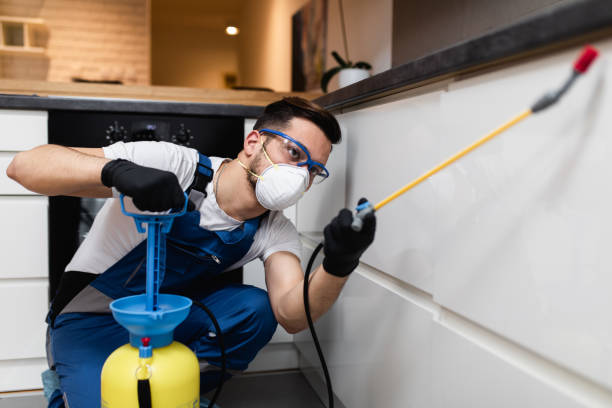 Best Affordable Pest Control Services  in Headland, AL