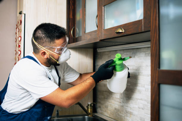 Reliable Headland, AL Pest Control Solutions