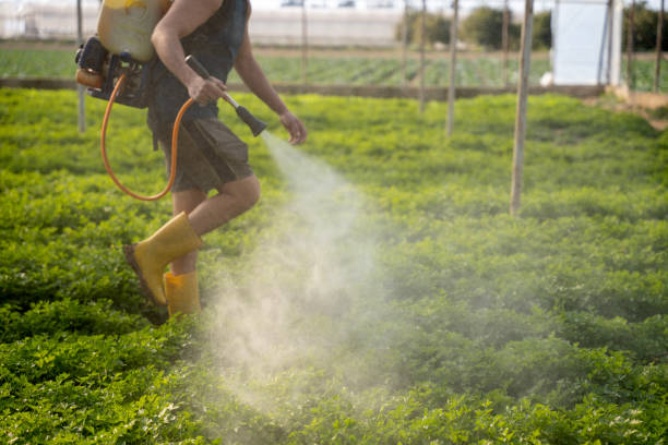Best Wildlife Control Services  in Headland, AL