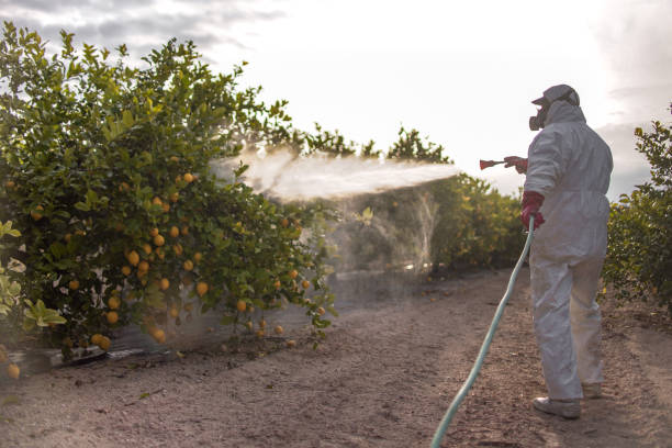 Best Insect Control  in Headland, AL