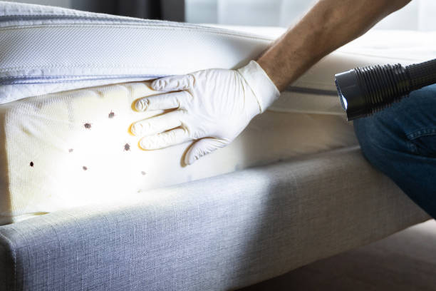 Best Wasp Removal Services  in Headland, AL