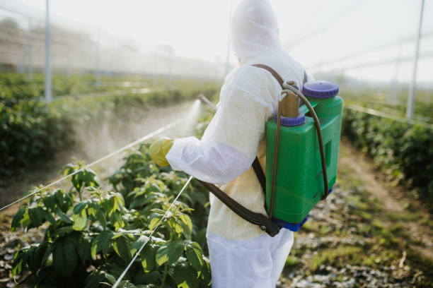 Pest Prevention Services in Headland, AL
